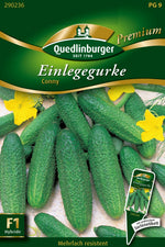 Quedlinburger Freiland-Einlegegurke Conny