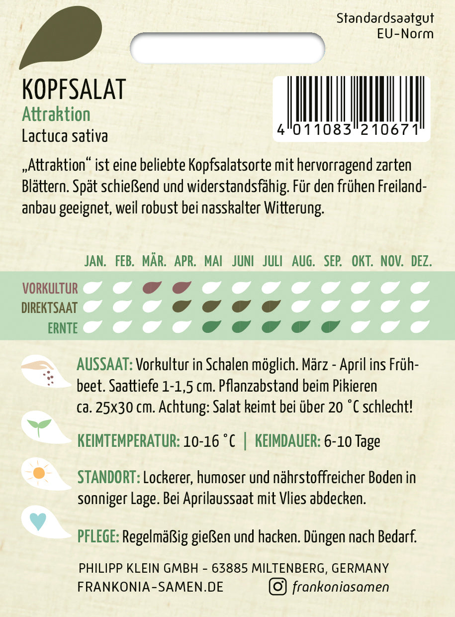 Frankonia Samen Kopfsalat Attraktion