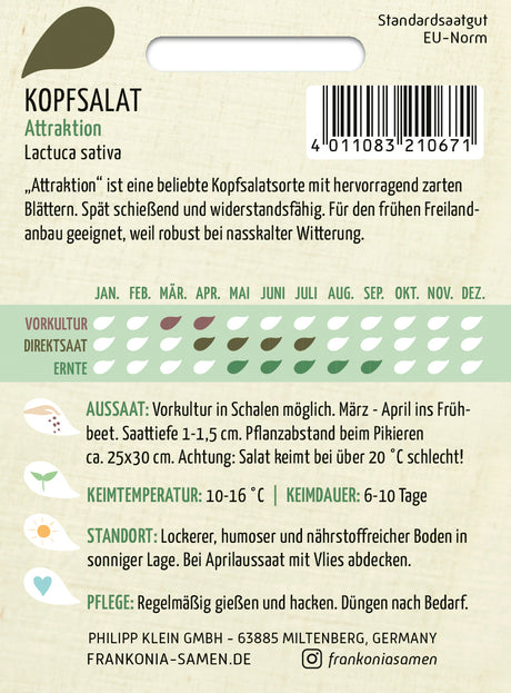 Frankonia Samen Kopfsalat Attraktion