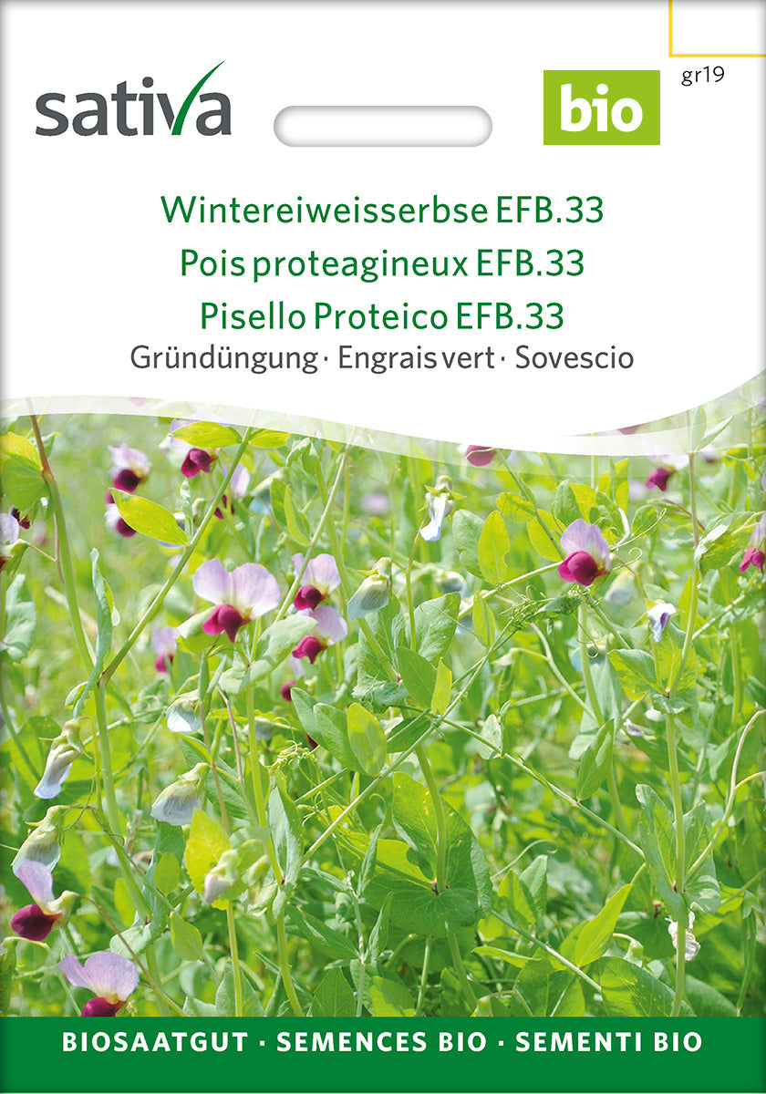 Sativa BIO Gründüngung Wintereiweisserbse EFB.33