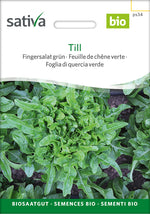 Sativa Fingersalat grün Till