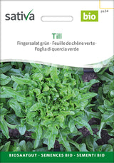 Sativa Fingersalat grün Till