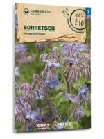 Samen Maier BIO Borretsch