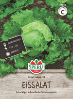 SPERLI Eisbergsalat Great Lakes 118