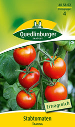 Quedlinburger Stabtomate Tamina