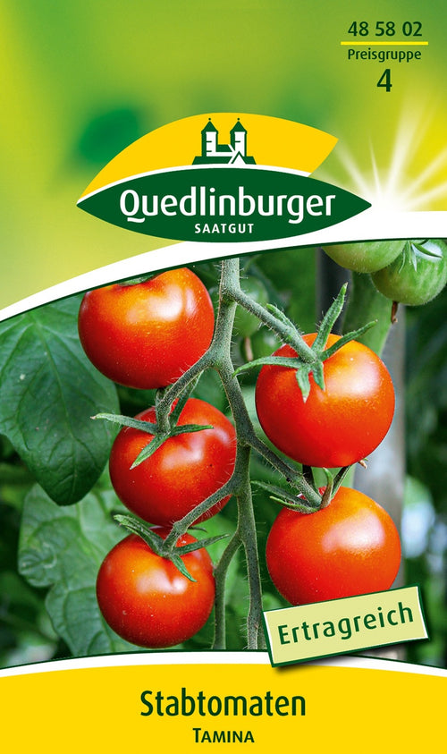 Quedlinburger Stabtomate Tamina