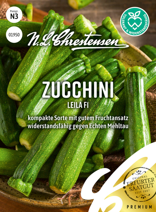 N.L. Chrestensen Zucchini Leila F1