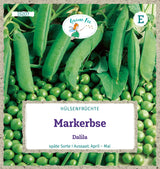 Grüne Fee Markerbse Dalila