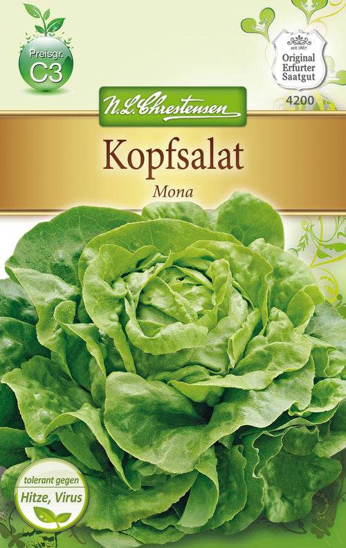 N.L. Chrestensen Kopfsalat Mona
