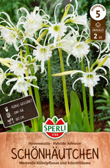 SPERLI Blumenzwiebeln Advance