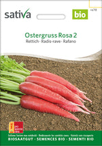 Sativa Rettich Ostergruss Rosa 2