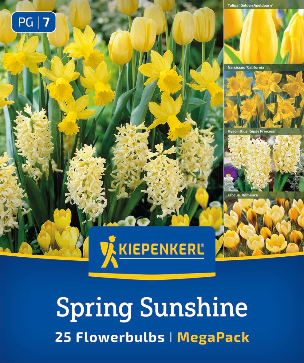 Mega Pack Spring Sunshine