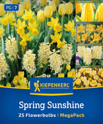 Mega Pack Spring Sunshine