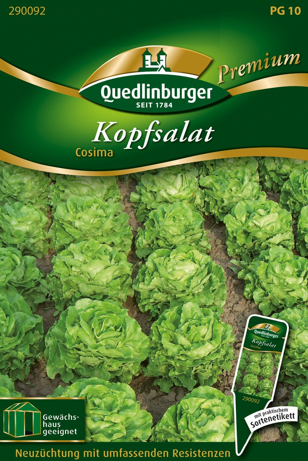 Quedlinburger Kopfsalat Cosima