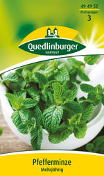 Quedlinburger Pfefferminze mehrjährig