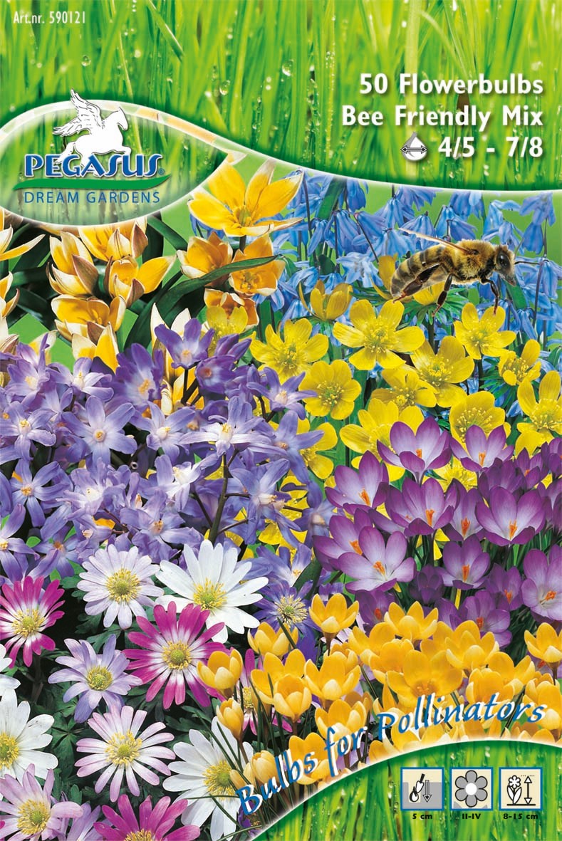 Pegasus Aktion Bienenfutterquelle