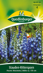 Quedlinburger Rittersporn Pacific Mischung