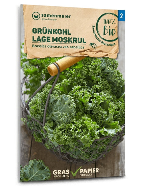 Samen Maier BIO Grünkohl Lage Moskrul