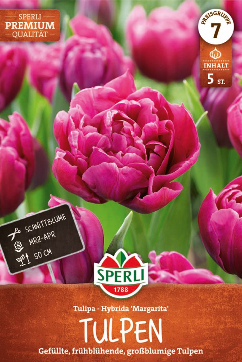 Premium Gefüllte Frühe Tulpe Margarita