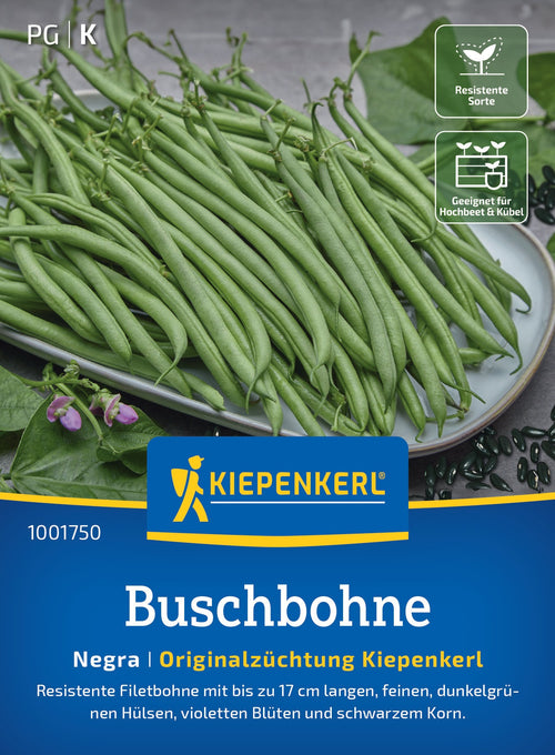 Kiepenkerl Buschbohnen Negra