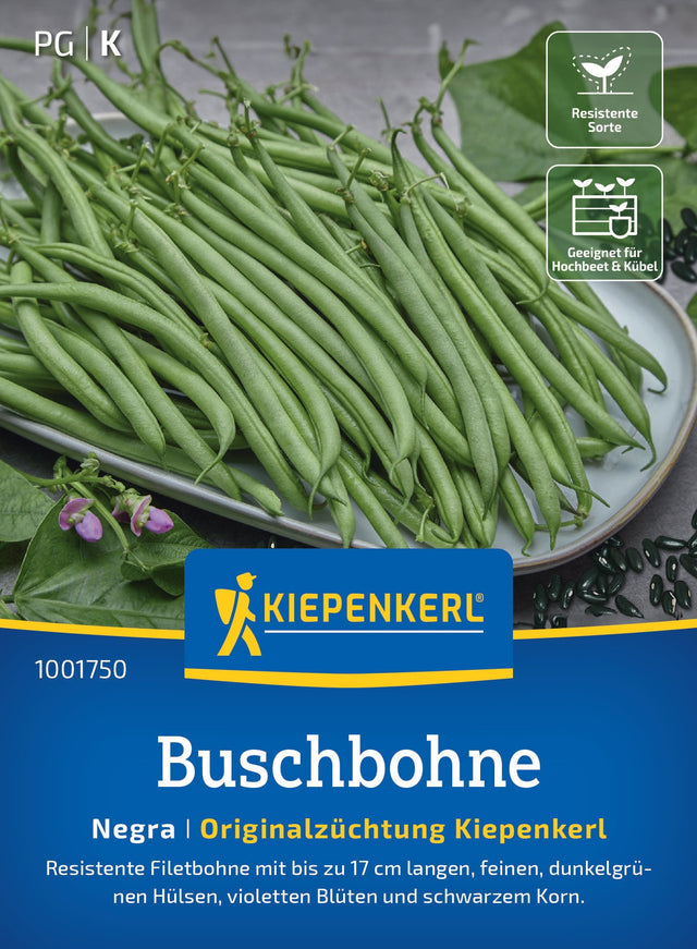 Kiepenkerl Buschbohnen Negra