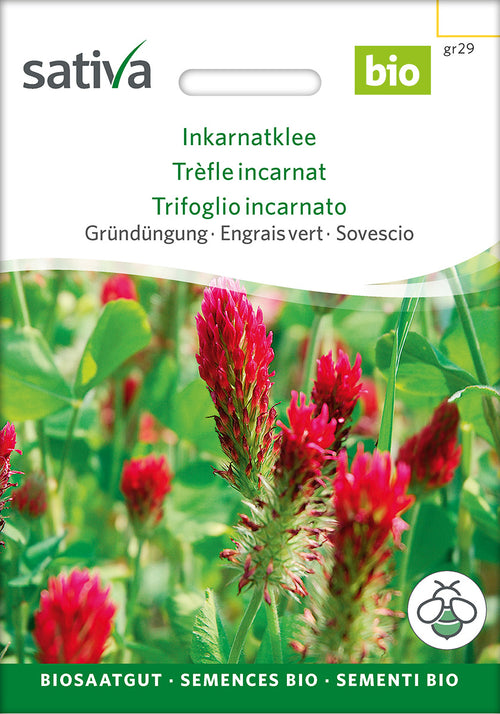 Sativa BIO Gründüngung Inkarnatklee