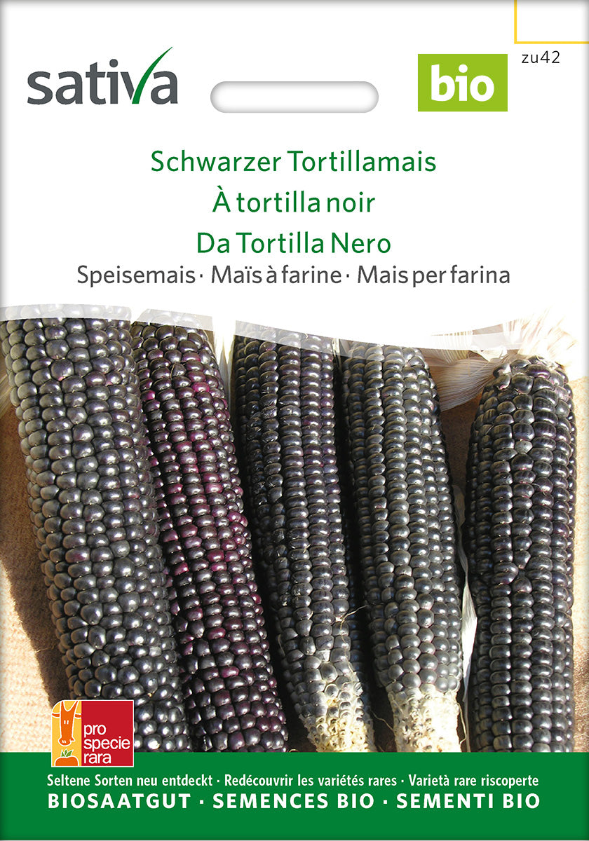 Sativa Speisemais Schwarzer Tortillamais