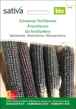 Sativa Speisemais Schwarzer Tortillamais