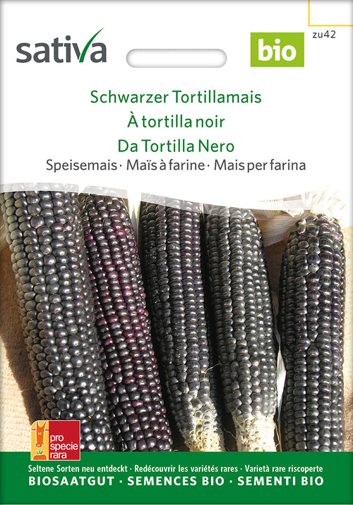 Sativa Speisemais Schwarzer Tortillamais