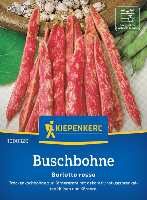 Kiepenkerl Buschbohnen Borlotto Rosso