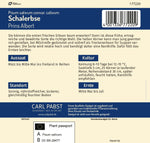 Pabst Keimkraft Schalerbse Allerfrüheste Mai