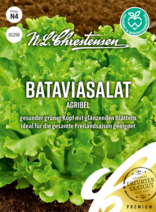 N.L. Chrestensen Bataviasalat AV Agribel Pillensaat