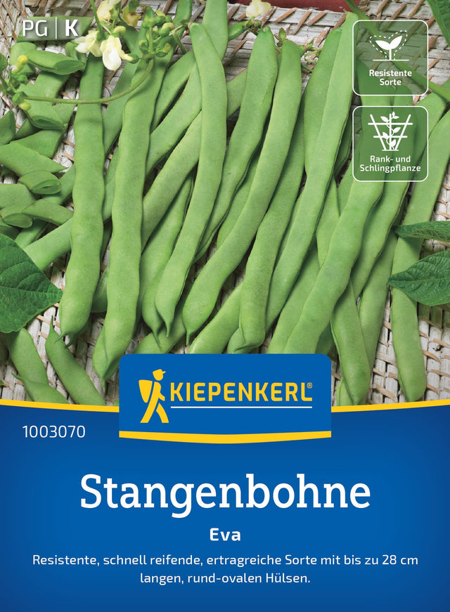 Kiepenkerl Stangenbohnen Eva