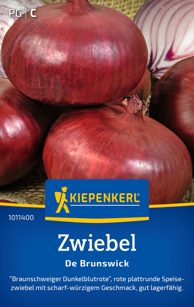 Kiepenkerl Zwiebel De Brunswick