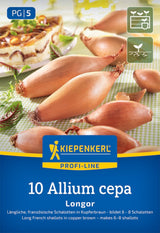Kiepenkerl Schalotte Longor 10 Stück
