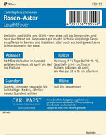 Pabst Keimkraft Rosen-Aster Leuchtfeuer