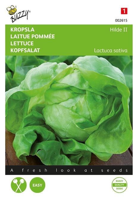 Buzzy Seeds Kopfsalat Hilde II