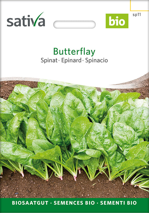 Sativa Spinat Butterflay