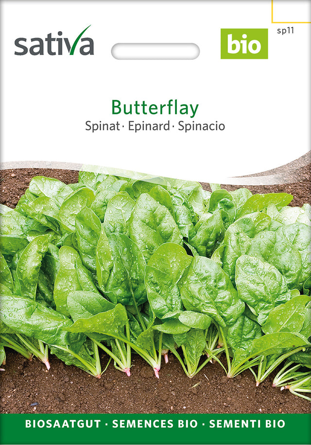 Sativa Spinat Butterflay