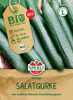 SPERLI BIO Salatgurke Kalunga