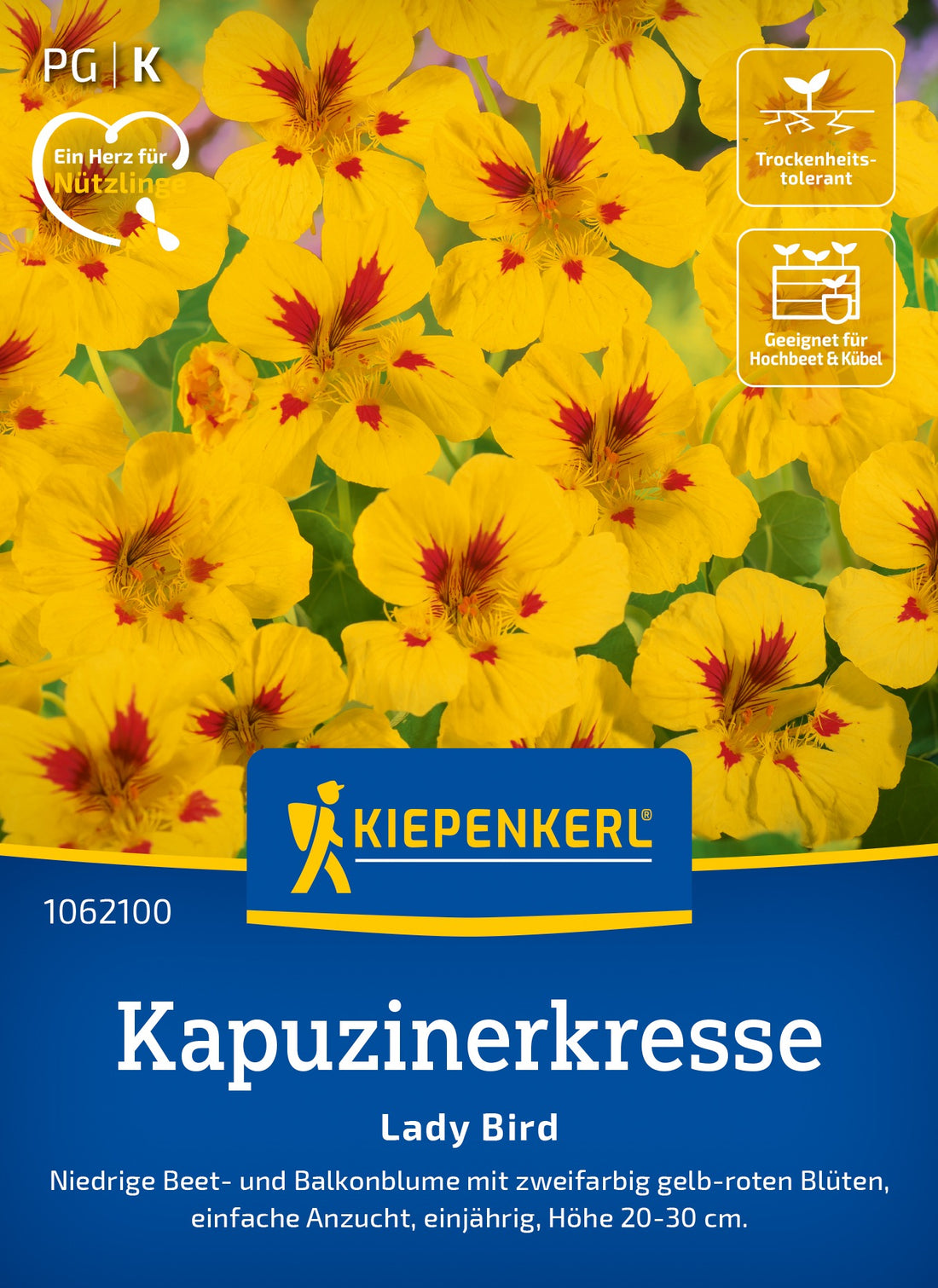 Kiepenkerl Kapuzinerkresse Lady Bird