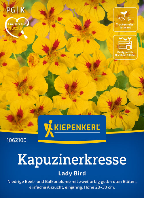 Kiepenkerl Kapuzinerkresse Lady Bird