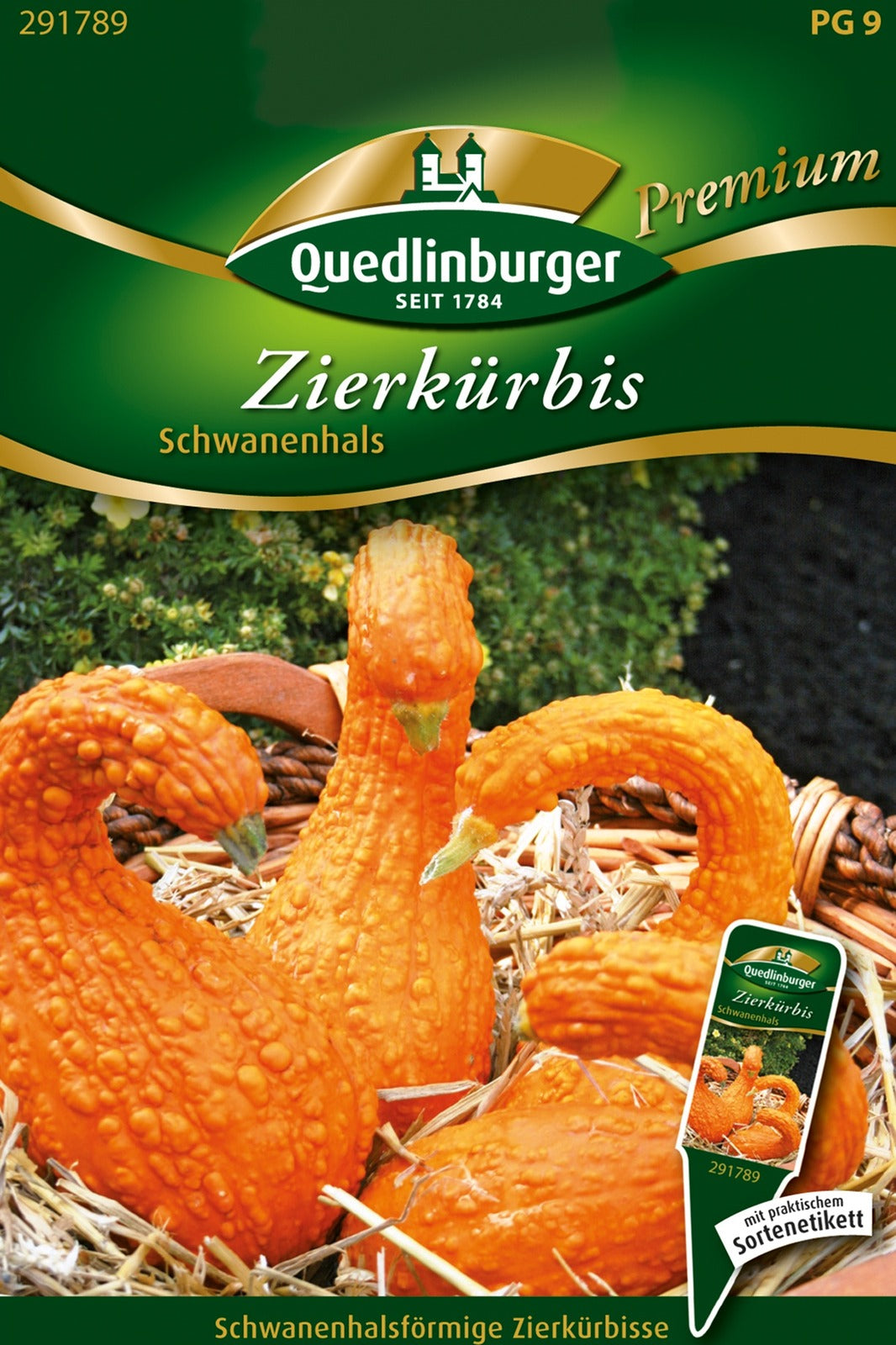 Quedlinburger Zierkürbis Schwanenhals