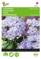 Buzzy Seeds Flammenblumen Blue Beauty