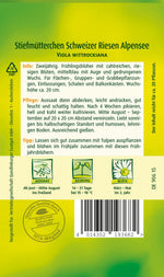 Quedlinburger Stiefmütterchen Schweizer Riesen Alpensee