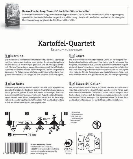 Kiepenkerl Pflanzkartoffel Quartett Spezialitäten 12 Stück