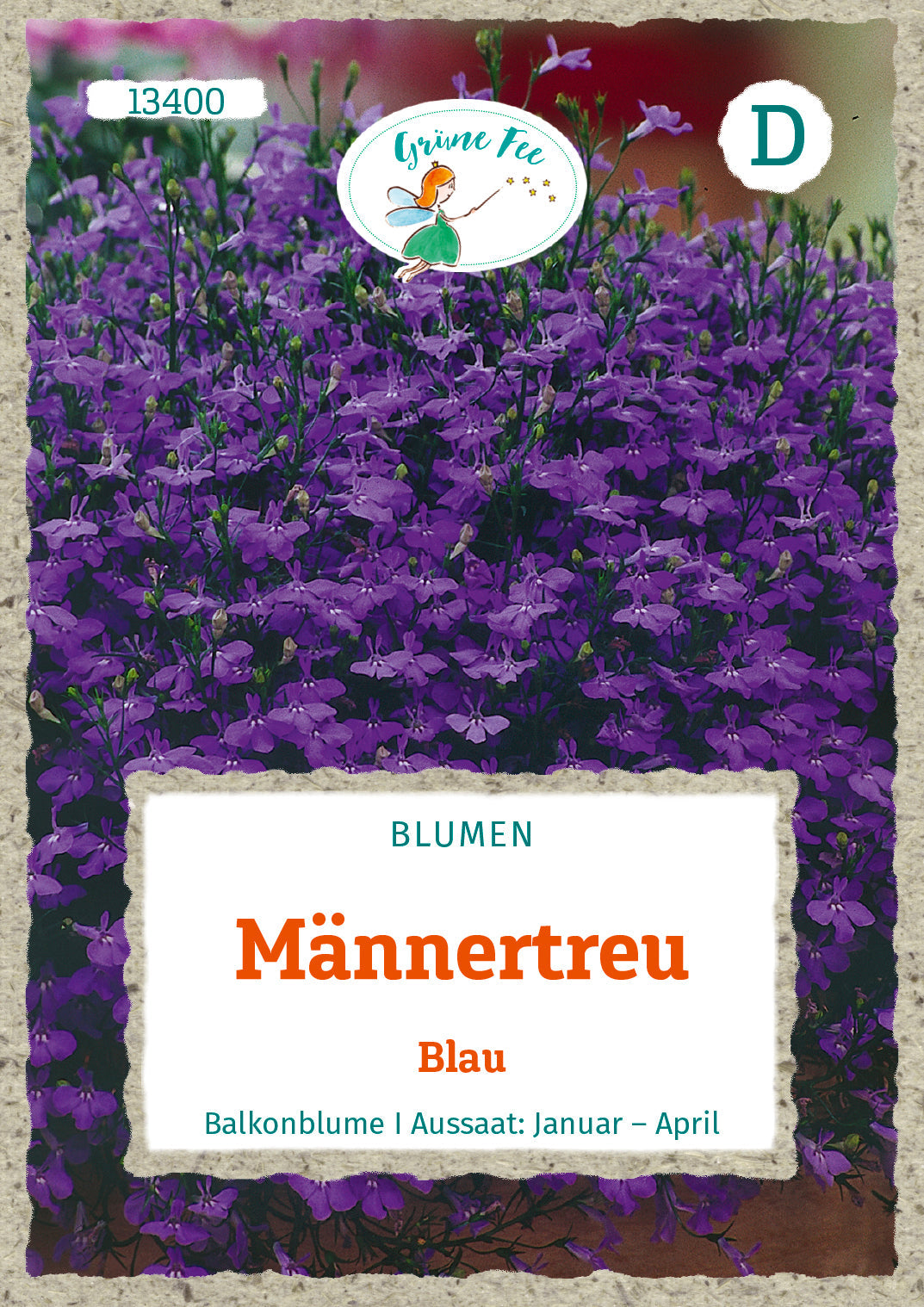 Grüne Fee Männertreu Blaue Lobelie