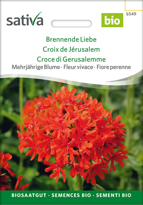 Sativa Brennende Liebe