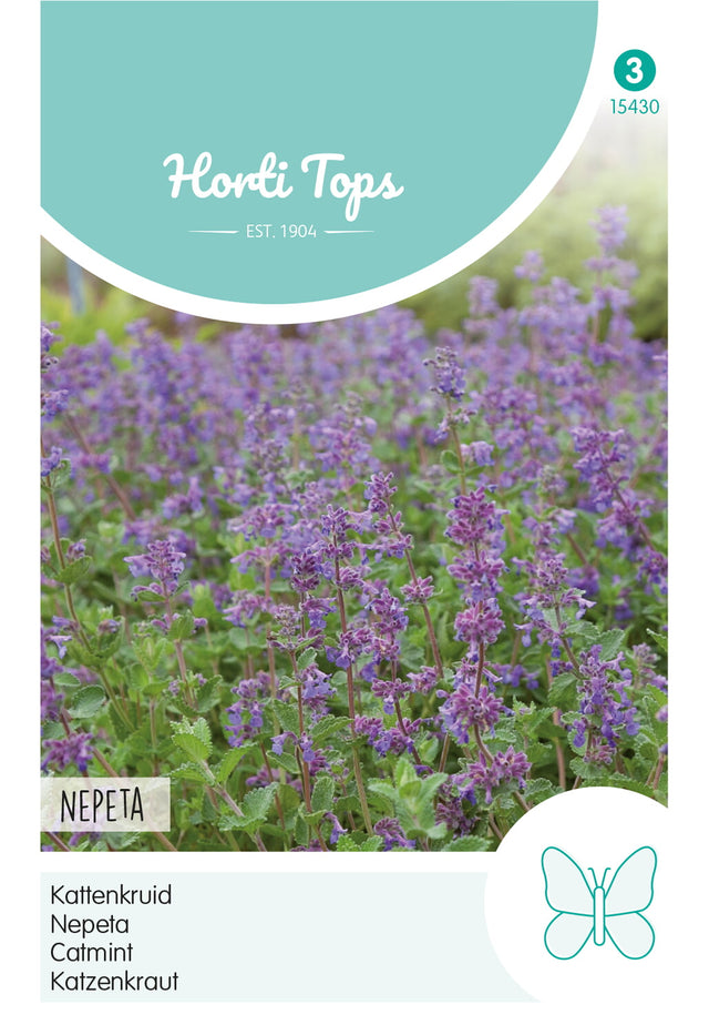 Horti Tops Katzenminze Faassenii