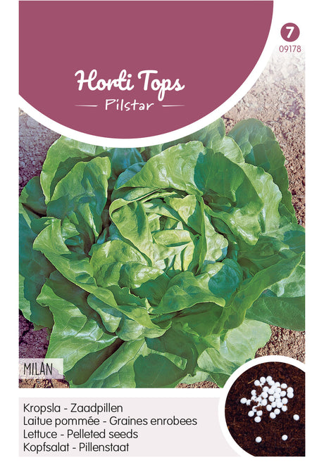 Horti Tops Kopfsalat  Pillenstaat